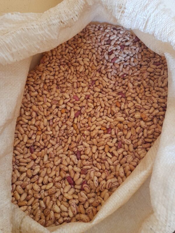 Sugar Beans (50kg)